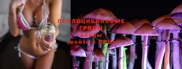 мдпв Михайловск