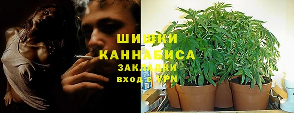 мдпв Михайловск