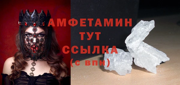 гидра Абаза