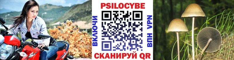 Галлюциногенные грибы GOLDEN TEACHER Нытва